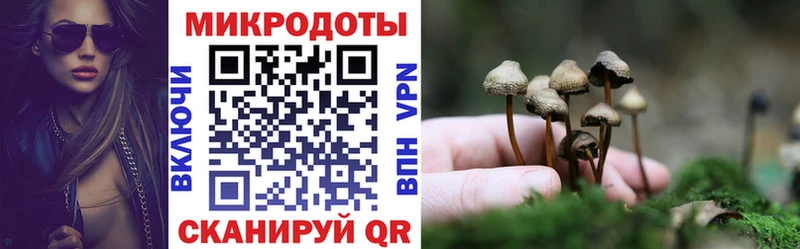 купить наркотики цена  Надым  Галлюциногенные грибы GOLDEN TEACHER 