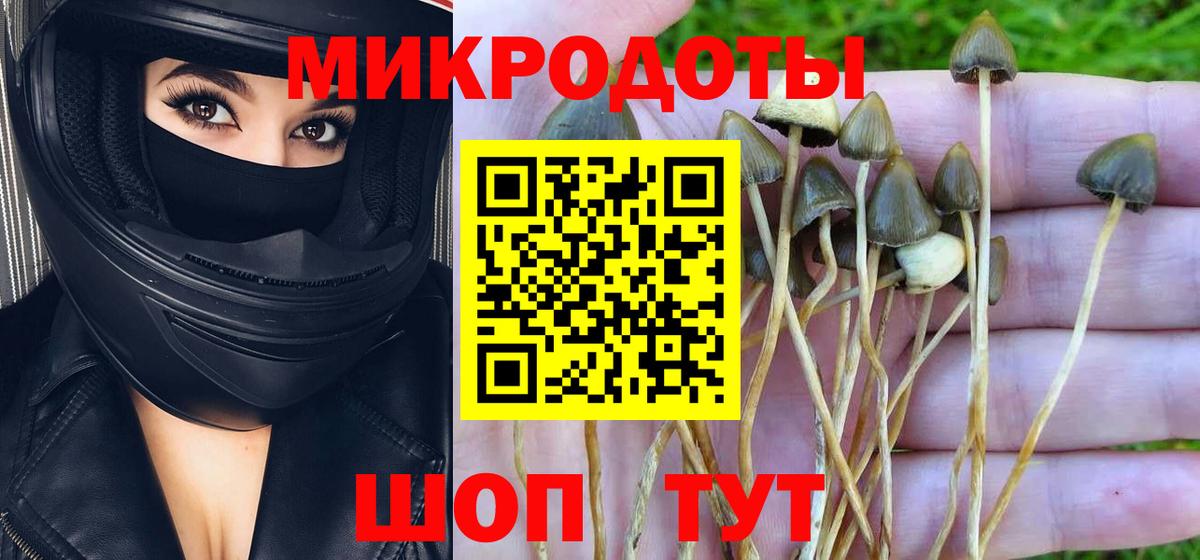 Псилоцибиновые грибы Psilocybe  где продают   Галлюциногенные грибы Cubensis  Надым  Вход с VPN 